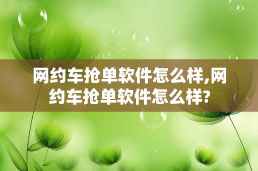 网约车抢单软件怎么样,网约车抢单软件怎么样?