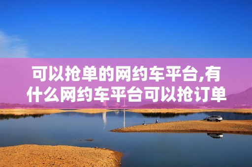 可以抢单的网约车平台,有什么网约车平台可以抢订单的