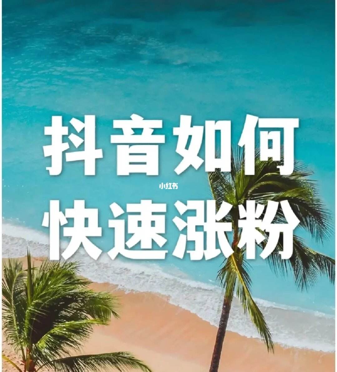 抖音语录号怎么快速涨粉,抖音里的语录用什么软件弄的