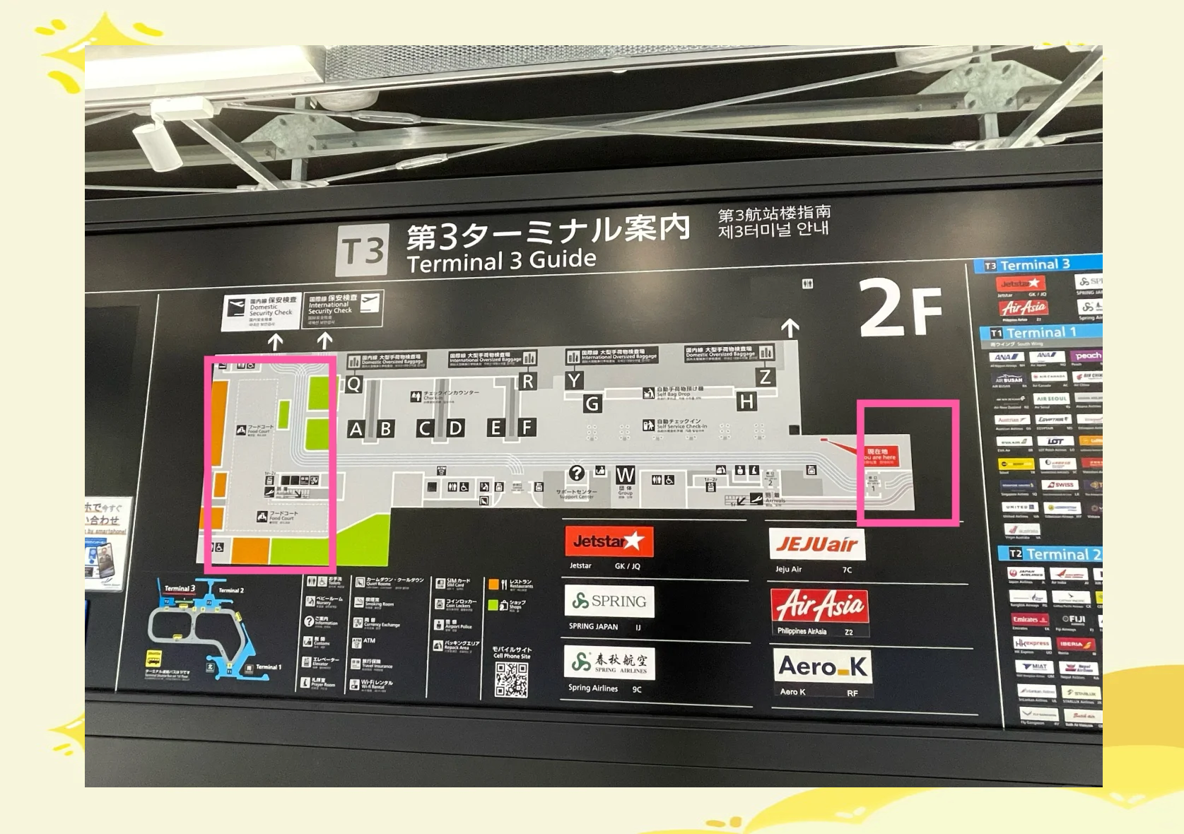 t3如何查看目的地,t3软件怎么查总账