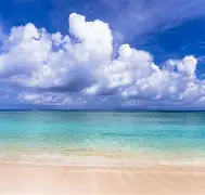 海清神州专车图片,海清 卖车