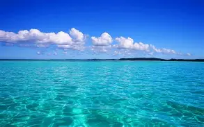 海清神州专车图片,海清 卖车