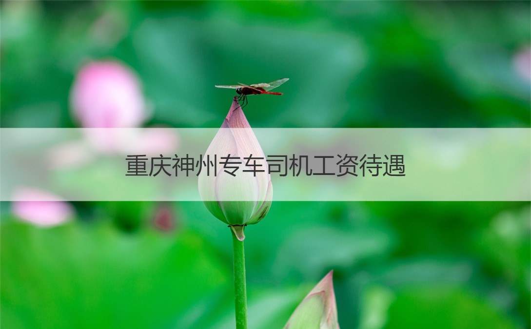 武汉神州专车司机培训哪些内容,神州专车司机入职条件