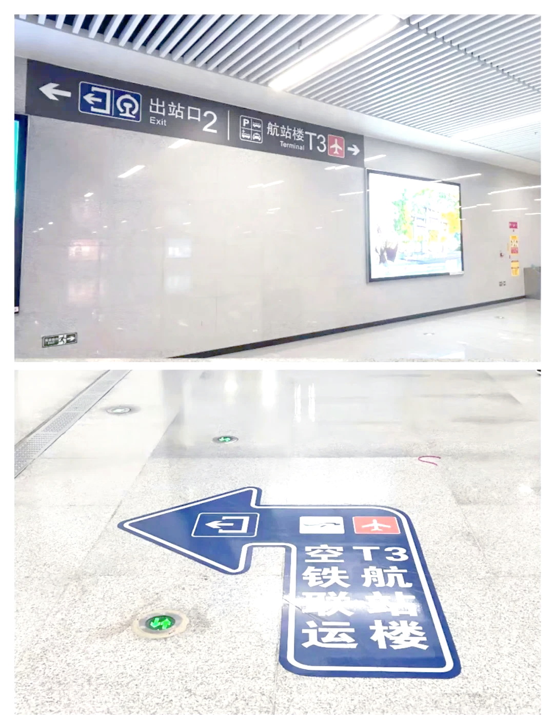 t3看乘客目的地,t3出行怎么看订单