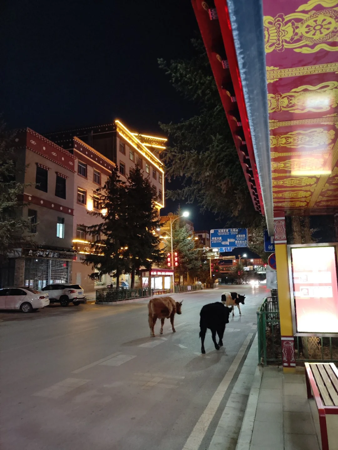 邯郸机场附近滴滴多吗,邯郸机场怎么样
