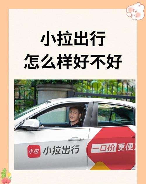 小拉出行如何提高抢单率,小拉出行怎么抢大单 小拉出行如何提高抢单率,小拉出行怎么抢大单
