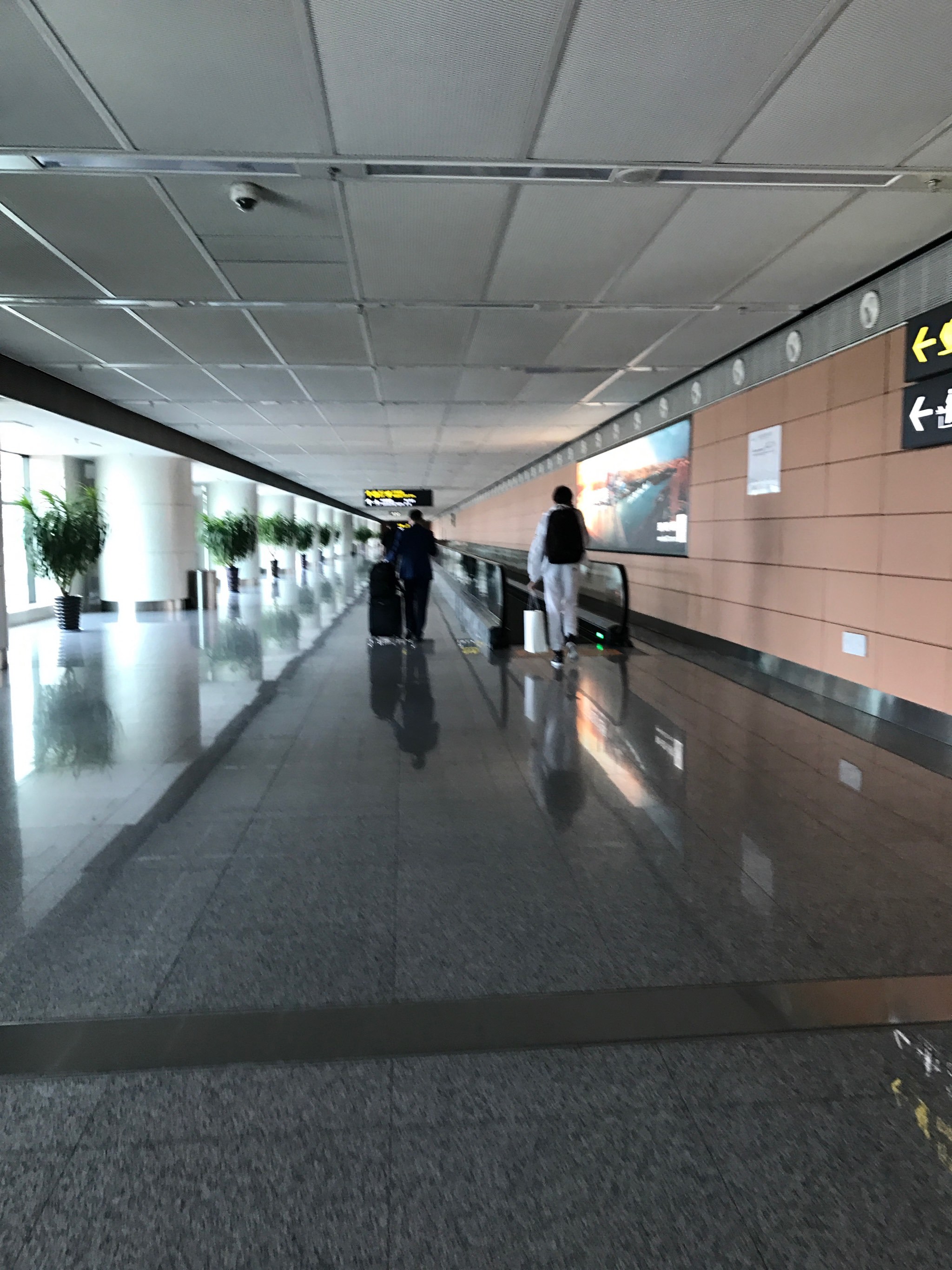 t3在哪里修改目的地,t3怎么修改行程