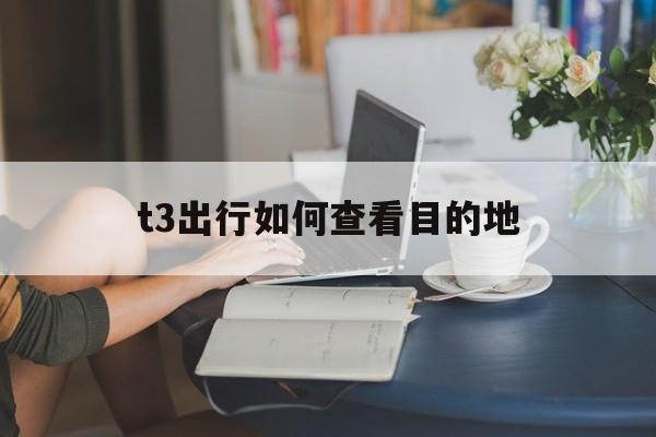 t3出行如何查看目的地,t3出行怎么查询服务分