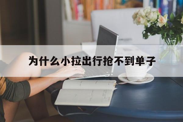 为什么小拉出行抢不到单子,小拉出行为什么没有优惠券