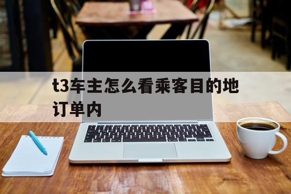 t3车主怎么看乘客目的地订单内,t3出行在哪里找