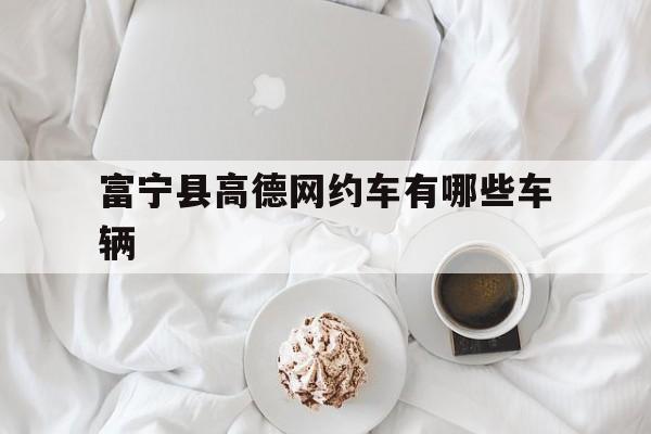 富宁县高德网约车有哪些车辆,富宁网约车平台